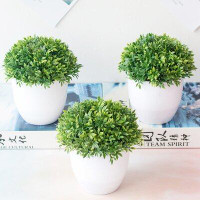 Ebern Designs Artificial Plant Realistic Vivid Plastic Green Ball Miniascape for Wedding
