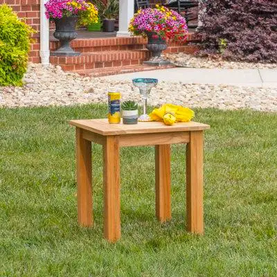 Joss & Main Adagio Outdoor Solid Teak Wood Side Table