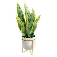 Primrue 24 Inch Artificial Snake Plant In Ceramic Pot With Stand