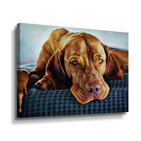 Red Barrel Studio Hungarian Vizsla Time For Bed Gallery Wrapped Canvas