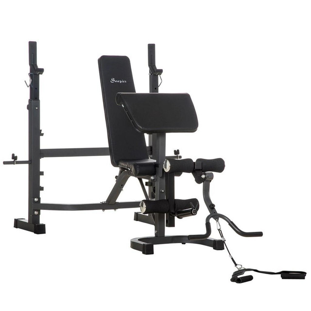WEIGHT BENCH STAND WITH SQUAT RACK, ADJUSTABLE OLYMPIC BENCH, MULTIFUNCTIONAL ARM CURL PAD, LEG EXTENSION, GREY in Exercise Equipment
