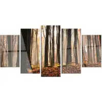 Design Art 'Dark Thick Woods in Fall Forest' 5 Piece Photographic Print on Metal Set
