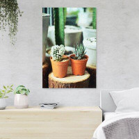 Foundry Select Green Cactus Plant On Brown Clay Pot 23 - 1 Piece Rectangle Graphic Art Print On Wrapped Canvas