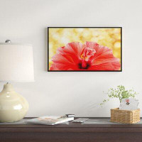 East Urban Home 'Hibiscus Flower with Lit up Background' Framed Graphic Art Print on Wrapped Canvas