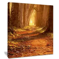 Design Art 'Magic Morning at the Fall Park' Photographic Print on Wrapped Canvas