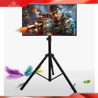 Portable Flat Panel Monitor Stand with Foldable Tripod 251356