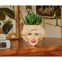 Primrue The Golden Girls Rose 3-inch Ceramic Mini Planter With Artificial Succulent