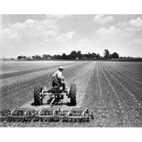 Rosalind Wheeler Rear View Of A Farmer Plowing A Corn Field With A Tractor Kankakee Illinois USA Poster Print (24 X 36)