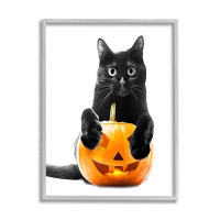 Stupell Industries Black Cat & Jack-o-Lantern by Annalisa Latella