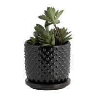 Joss & Main Ceramic Planter, Tiny Dot Bubble Design, Indoor/Outdoor Planter with Saucer - Use for Succulent Pot, Plants,