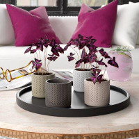 Etta Avenue™ 42-Pieces Polly Ceramic Pot Planter Set