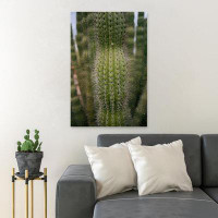 Foundry Select Green Cactus Plant 18 - 1 Piece Rectangle Graphic Art Print On Wrapped Canvas