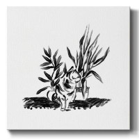 Winston Porter Purrfect House Plants II-Gallery Wrapped Canvas
