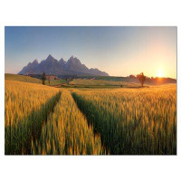 Made in Canada - Design Art Summer Wheat Fields Slovakia - Wrapped Canvas Photographic Print
