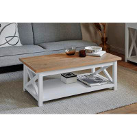 Gracie Oaks Petrarch 4 Legs Coffee Table with Storage