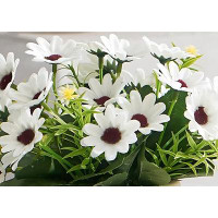 Primrue Artificial Flowers, Floral Arrangement, Mini Bouquet Potted Plant, Indoor Decorative Mini Ornament