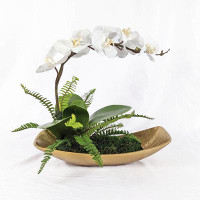 Gracie Oaks Brenau 16" Preserved Orchid Plant Stand in Pot