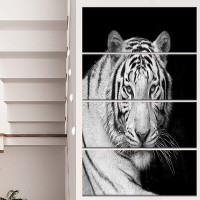 Made in Canada - Design Art 'Staring Bengal White Tiger' 4 Piece Photographic Print on Wrapped Canvas Set