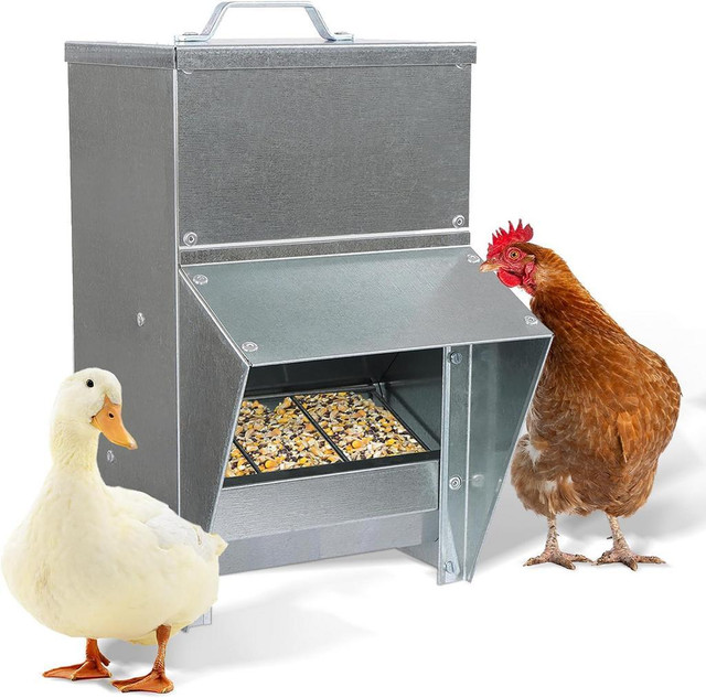 NEW 25 LBS GALVANIZED CHICKEN & DUCK FEEDER S1228 in Other in Red Deer - Image 2