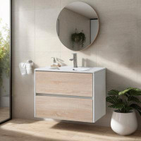 Ebern Designs 30'' Danube Modern Wall-Mounted Handle Free Single Bathroom Vanity Set