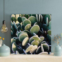 Foundry Select Green Cactus Plant During Daytime 40 - 1 Piece Square Graphic Art Print On Wrapped Canvas