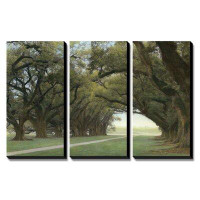 Alcott Hill 'Alley of the Oaks' by William Guion 3 Piece Photographic Print on Canvas Set