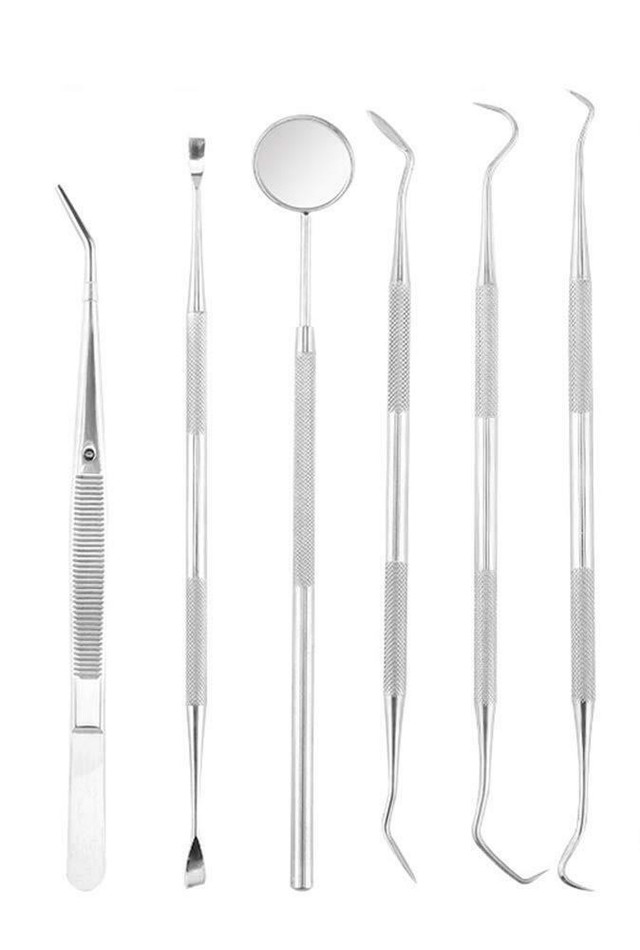 NEW 6 PCS DENTAL CLEANING TOOL KIT 32955 in Other in Manitoba