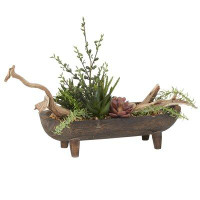 D & W Silks Assorted Succulents And Ghostwood Branch In Oblong Wooden Dough Bowl With Legs
