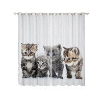 Red Barrel Studio Elviire Little Cat Window Velvet Sheer Grommet Single Curtain Panel