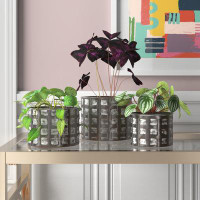 Etta Avenue™ Fahari 3 - Piece Iron Pot Planter Set