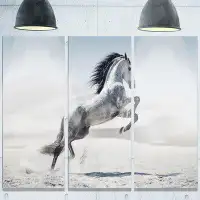 Design Art 'Galloping White Horse' Photograph Multi-Piece Image on Metal