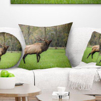 Made in Canada - East Urban Home Animal Trophy Bull Elk in Grassland Pillow