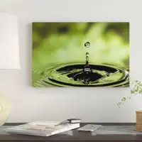 East Urban Home Ripples Radiating Out From Drop Of Water Splashing Into Calm Pool by Michael Durham - Wrapped Canvas Pri