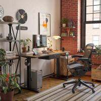 Accentuations by Manhattan Comfort Ergonomic Electric Standing Desk Adjustable Sturdy Modern Easy Setup