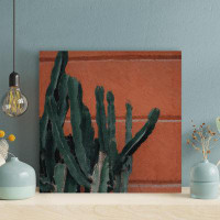 Foundry Select Green Cactus Plant Near Red Wall - 1 Piece Square Graphic Art Print On Wrapped Canvas