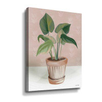 Bayou Breeze House Prayer Plant Gallery Wrapped Canvas