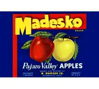 Buyenlarge 'Madesko Brand Pajaro Valley Apples' Vintage Advertisement