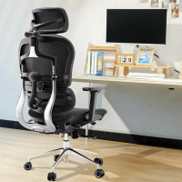 Inbox Zero Inbox Zero Ergonomic Office Chair Computer Desk Chiar Mesh High Back Desk Chair With Adjustable Lumbar Suppor
