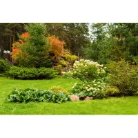 Millwood Pines Landscaped Lawn Of Plants And Artificial Rocks