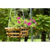 Hokku Designs Hanging Plant by Artemisphoto - Wrapped Canvas Photograph