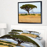 East Urban Home 'Acadia Tree and Cheetah in Africa' Framed Photographic Print on Wrapped Canvas
