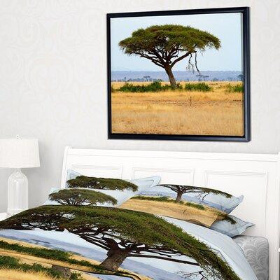 East Urban Home 'Acadia Tree and Cheetah in Africa' Framed Photographic Print on Wrapped Canvas in Arts & Collectibles