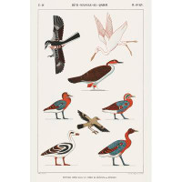 Winston Porter Egyptian Bird Charts IV