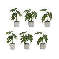 Bay Isle Home™ 6 - Piece Artificial Plant in Pot Set