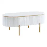 Brayden Studio Demani Coffee Table in White High Gloss and Gold