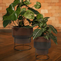 Latitude Run® Wilnette 2-Piece Green Polyethylene Pot Planter Set