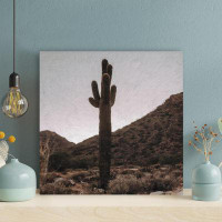 Foundry Select Cactus Plant 25 - 1 Piece Square Graphic Art Print On Wrapped Canvas