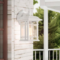 Darby Home Co Timothee Traditional White Outdoor Wall Sconces
