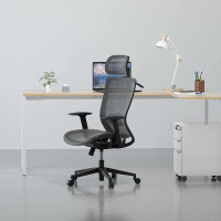 Inbox Zero Inbox Zero OC3B Executive Ergonomic Office Chair Height Adjustable Mesh Computer Chair With Adjustable Headre