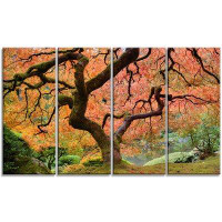 Design Art Autumn Maple Tree Landscape 4 Piece Photographic Print on Wrapped Canvas Set
